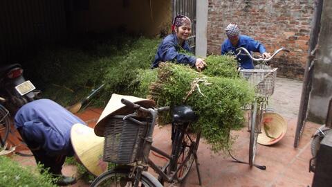 Hà Nội: Hoàn thiện hồ sơ trình Chính phủ công nhận 3 huyện đạt chuẩn Nông thôn mới