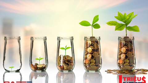 Tôi đã kiếm 1 triệu USD đầu tiên như thế nào?