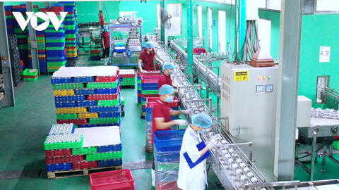 Hỗ trợ doanh nghiệp phục hồi sản xuất, phải có chính sách tài khoá bằng tiền thật
