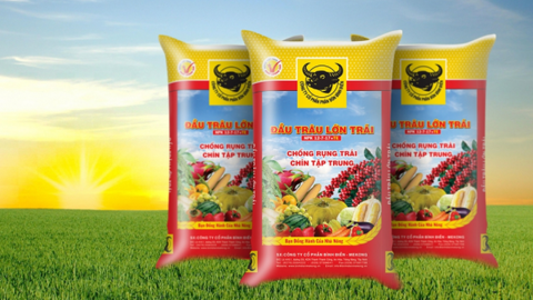 Giá vốn tăng cao, Phân bón Bình Điền (BFC) báo lãi quý 3 sụt giảm 15% so với cùng kỳ