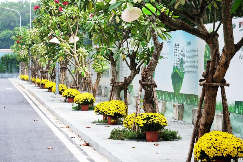 Những chậu cúc vàng và những chiếc nón lá treo cao tạo thêm nét duyên cho không gian xanh Những chậu cúc vàng và những chiếc nón lá treo cao tạo thêm nét duyên cho không gian xanh