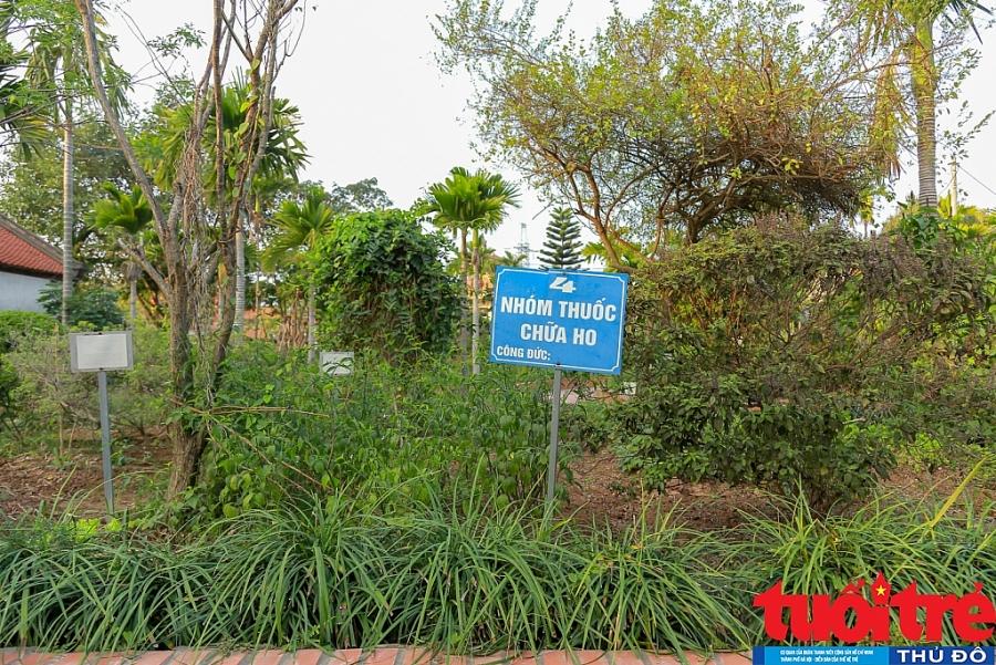 Đi lễ trong tâm dịch Cẩm Giàng, cầu năm Tân Sửu không Covid-19 Đi lễ trong tâm dịch Cẩm Giàng, cầu năm Tân Sửu không Covid-19