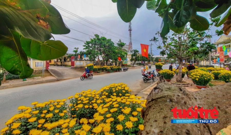 Quảng Ngãi: Giảm khoảng 50% lượng người dân về Lý Sơn đón Tết