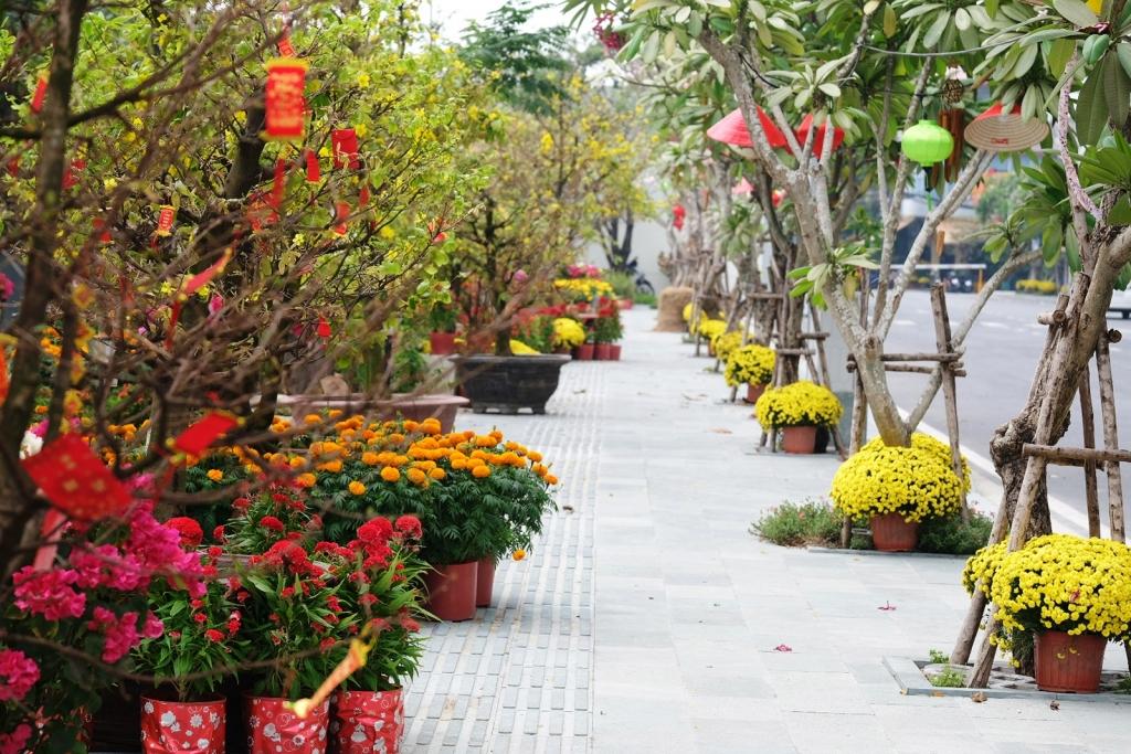 Các lối đi được thiết kế thành những con đường hoa đậm chất Tết Các lối đi được thiết kế thành những con đường hoa đậm chất Tết