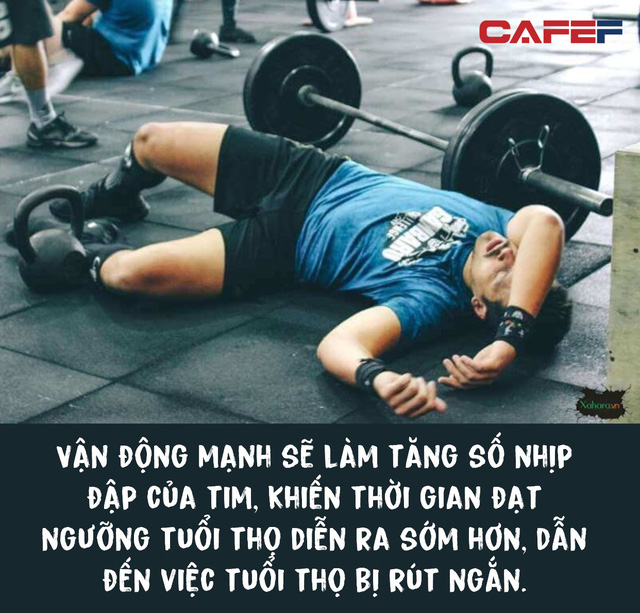 Phương pháp đi bộ trong 5 phút nhưng đạt hiệu quả như đi 10.000 bước: Giúp giảm cân, hạ huyết áp và kéo dài tuổi thọ, đơn giản nhưng không phải ai cũng biết - Ảnh 3. Phương pháp đi bộ trong 5 phút nhưng đạt hiệu quả như đi 10.000 bước: Giúp giảm cân, hạ huyết áp và kéo dài tuổi thọ, đơn giản nhưng không phải ai cũng biết - Ảnh 3.
