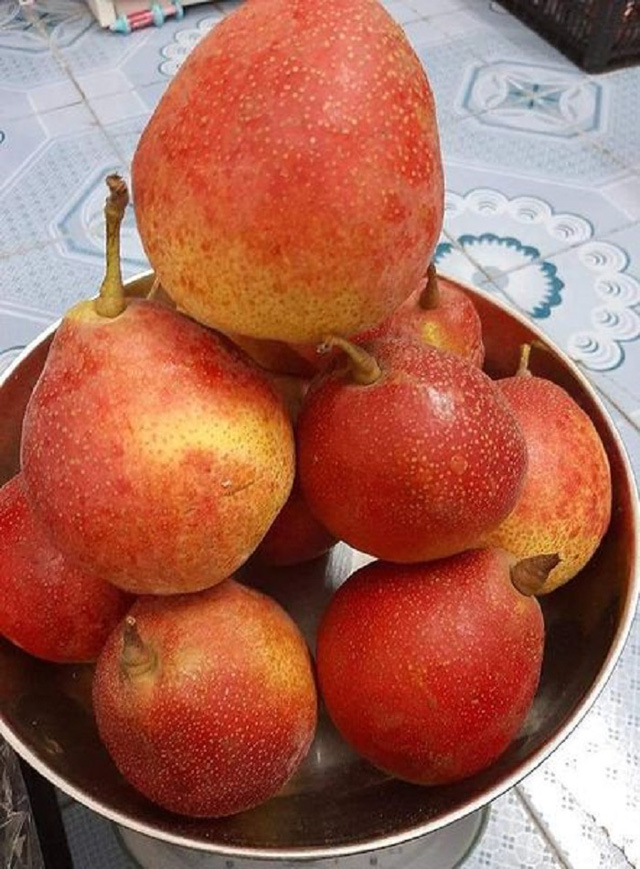 Lê má hồng ngọt giòn giá rẻ hút khách, chị em háo hức đặt mua cả yến về ăn dần - Ảnh 2. Lê má hồng ngọt giòn giá rẻ hút khách, chị em háo hức đặt mua cả yến về ăn dần - Ảnh 2.