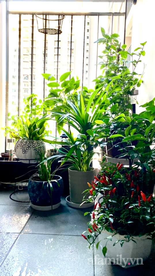 Mê tít cơ ngơi 30m² với nội thất tối giản cùng cách bày trí khoa học của cô nàng U30 độc thân vui tính - Ảnh 3. Mê tít cơ ngơi 30m² với nội thất tối giản cùng cách bày trí khoa học của cô nàng U30 độc thân vui tính - Ảnh 3.