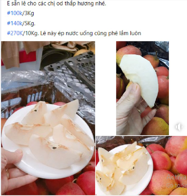Lê má hồng ngọt giòn giá rẻ hút khách, chị em háo hức đặt mua cả yến về ăn dần - Ảnh 3. Lê má hồng ngọt giòn giá rẻ hút khách, chị em háo hức đặt mua cả yến về ăn dần - Ảnh 3.