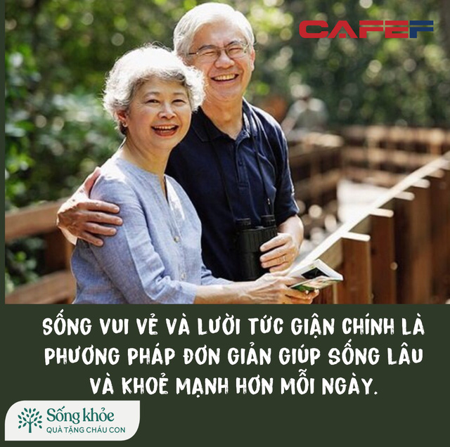 Sau 50 tuổi, càng lười càng sống lâu : 3 lười giúp kéo dài tuổi thọ thêm 20 năm, nếu có được 2 điều trong số đó cũng rất tốt rồi - Ảnh 1. Sau 50 tuổi, càng lười càng sống lâu : 3 lười giúp kéo dài tuổi thọ thêm 20 năm, nếu có được 2 điều trong số đó cũng rất tốt rồi - Ảnh 1.