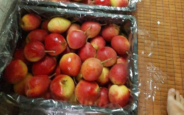 Lê má hồng ngọt giòn giá rẻ hút khách, chị em háo hức đặt mua cả yến về ăn dần - Ảnh 1. Lê má hồng ngọt giòn giá rẻ hút khách, chị em háo hức đặt mua cả yến về ăn dần - Ảnh 1.